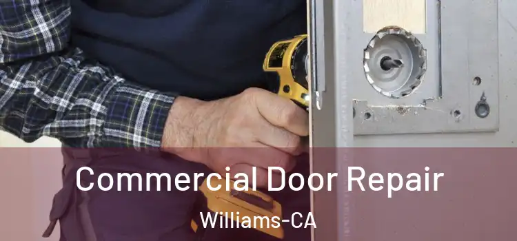  Commercial Door Repair Williams-CA