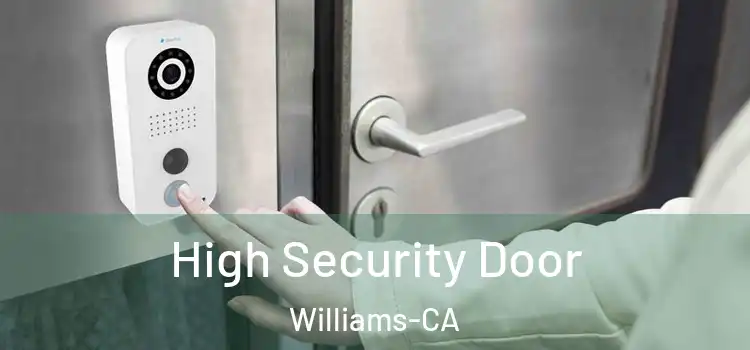  High Security Door Williams-CA
