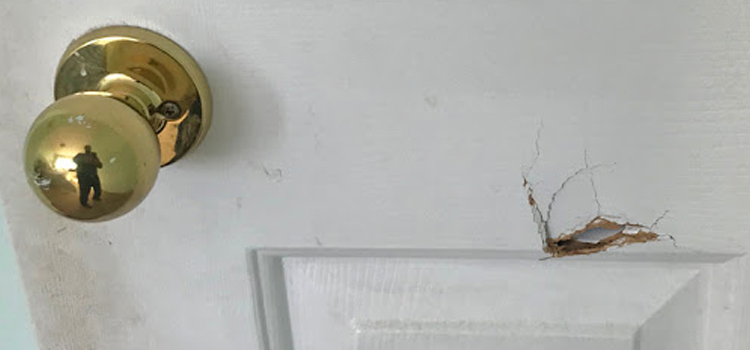 interior door hole repair Williams