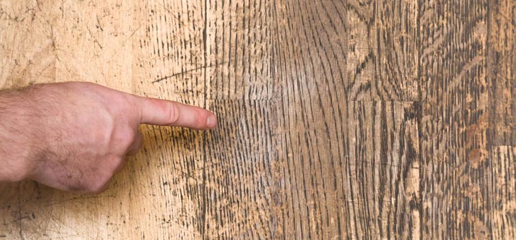 Wood Door Scratch Repair in Williams