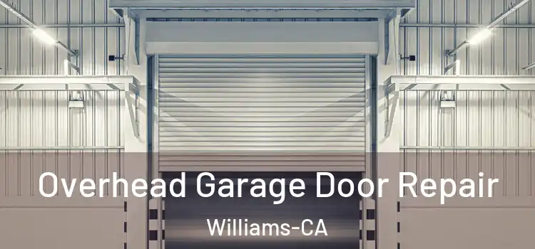  Overhead Garage Door Repair Williams-CA