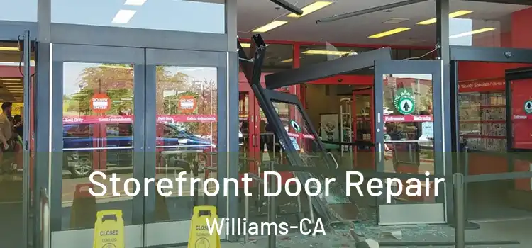  Storefront Door Repair Williams-CA